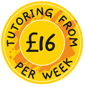 From only £16pw at Ace Tutoring Online